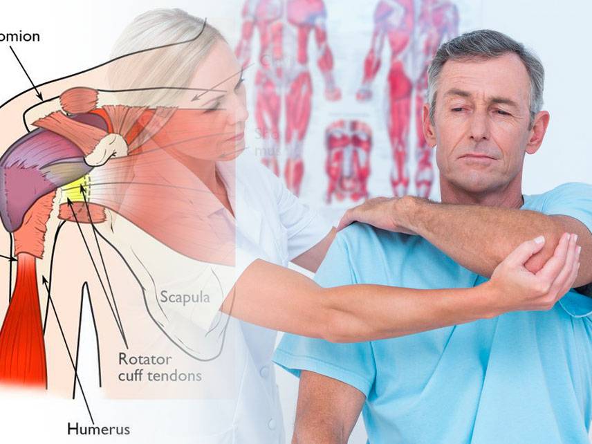 Shoulder pain: symptoms, diagnosis and treatment.